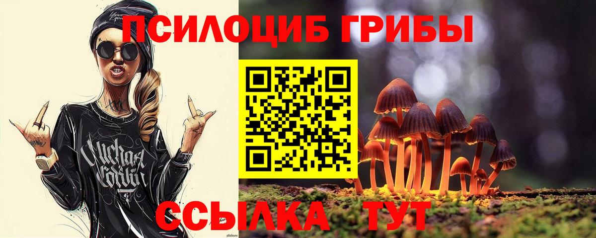 Псилоцибиновые грибы прущие грибы Шатура